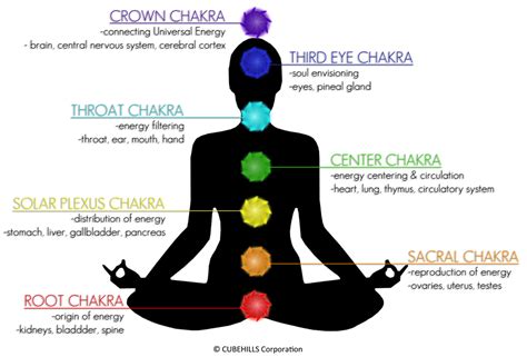 Keeping The Seven Chakras Healthy Energy Healing Reiki Chakra