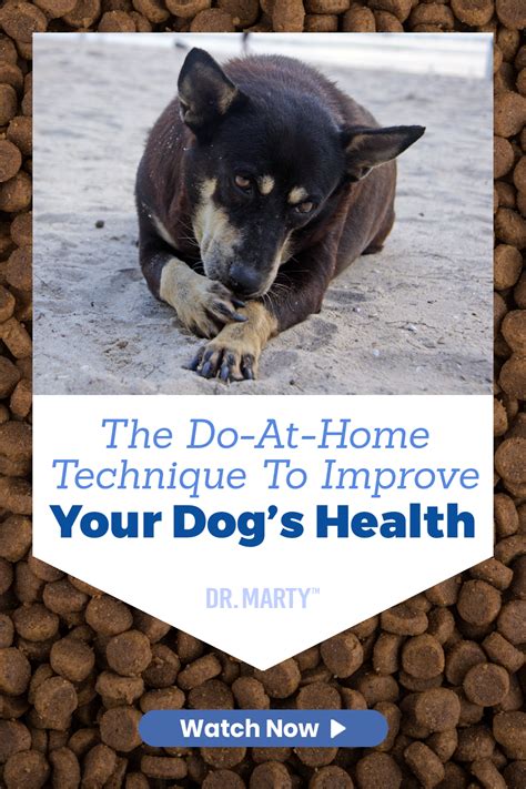 As a veterinarian for more than 45 years, i've had the honor of helping pets of all kinds regain their health through the power of integrative medicine. Dr. Martin Goldstein is one of America's most renowned ...