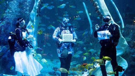 Scuba Diving Couple Take The Plunge And Tie The Knot In The Uks First