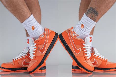 Where To Buy Concepts X Nike Sb Dunk Low Orange Lobster Everything We