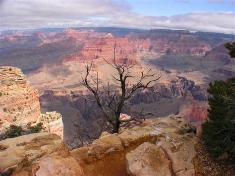 Free Grand Canyon Arizona Stock Photo