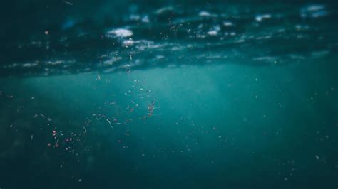 Cientistas Usam Satélite Da Nasa Para Rastrear Microplásticos No Mar
