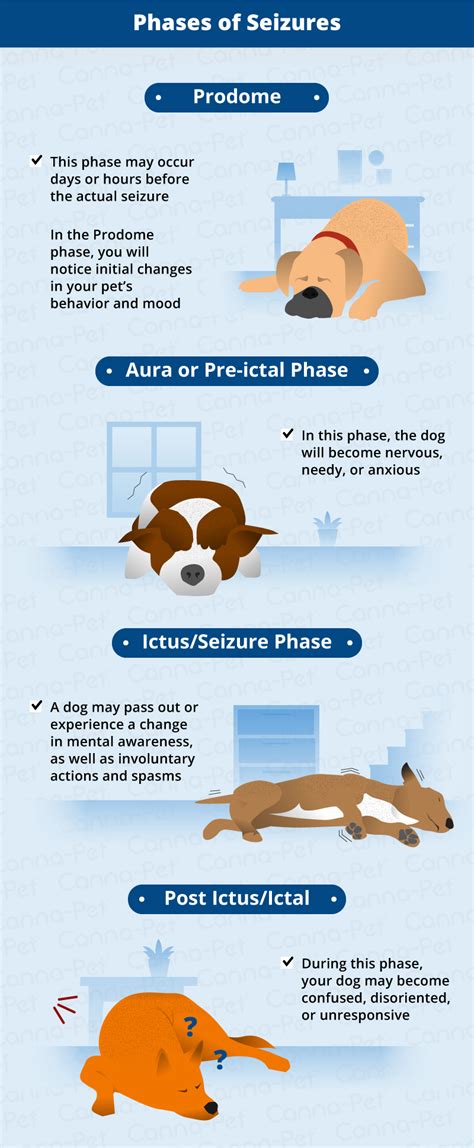Types of Seizures in Dogs | Canna-Pet