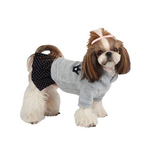 Organic Pet Boutiques Top 5 Benefits Of Dog Clothing