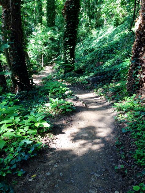 The grove park inn in asheville nc is an historic resort hotel located in the blue ridge mountains on sunset mountain overlooking the french broad river valley. The Sunset Trail alongside the Omni Grove Park Inn ...