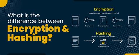 Top 8 Difference Between Encryption And Hashing Pynet Labs