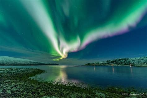 The Northern Lights Facts -Learn about Aurora Borealis ...