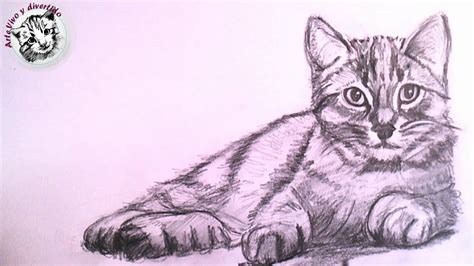 Cómo Dibujar Un Gato Realista 】 Paso A Paso Muy Fácil 2021 Dibuja Fácil