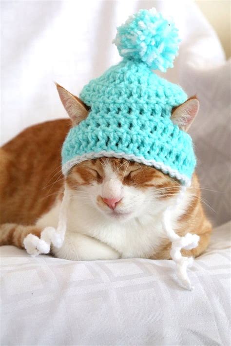 Crochet Cat Hat Pattern Beginner Friendly Crochet Pattern For Etsy