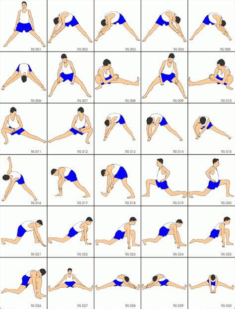 How To Stretching Exercises Lori Sheffields Reading Worksheets