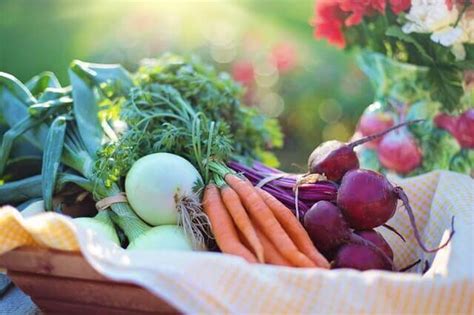 7 Health Benefits Of Organic Food World Infi