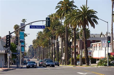 Los Angeles Palm Tree Lined Street Los Angeles Palm Trees California