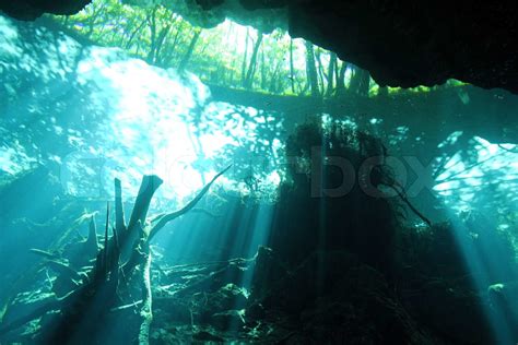 Cenote Diving Stock Image Colourbox