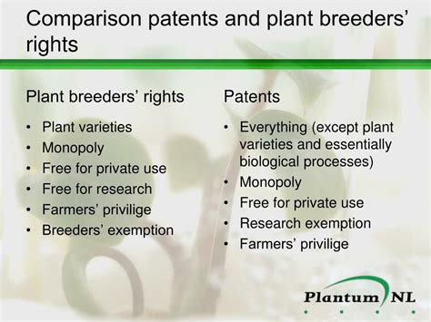 Ppt “breeding Business” A Report On Patents And Plant Breeders Rights In The Breeding