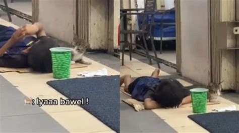 Bocah Dan Kucing Ini Tidur Di Emperan Minimarket Videonya Banjir Doa