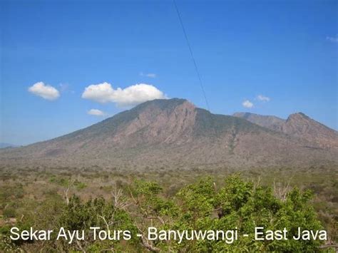Bali Ijen Bromo Surabaya Tour 3 D 2 N Baluran National Park