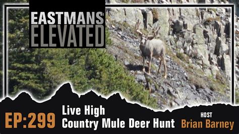 Eastmans Elevated Ep 299 Live High Country Mule Deer Hunt Youtube