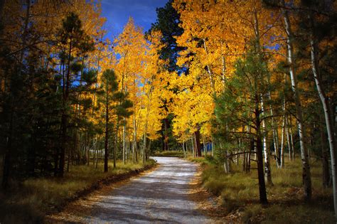 Food banks in flagstaff, arizona are amazing organizations that are mostly run by volunteers with big hearts with one goal only, to help those in need. Flagstaff, Arizona - a travel guide through the lens of a ...