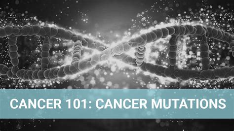 Cancer Mutations First In Our Cancer 101 Series To Understand Cancer