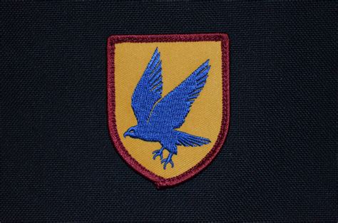 Blue falcon award is awarded to only a select few men in military service. Blue Falcon Patch - All Day Ruckoff