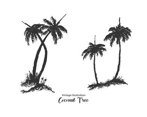 Premium Vector Vintage Sketch Silhouette Hand Drawn Coconut Trees