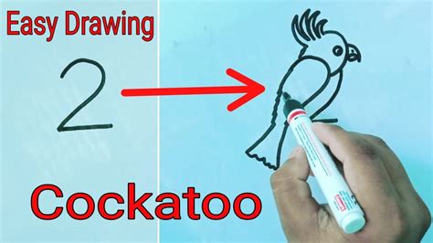 how to draw a cockatoo bird how to turn number 2 into a cute cockatoo easy step by step youtube