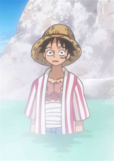 One Piece Episode 895 Screencap10 By Princesspuccadominyo On Deviantart
