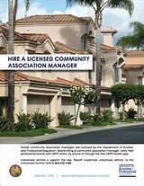 Verify Florida Real Estate License Pictures