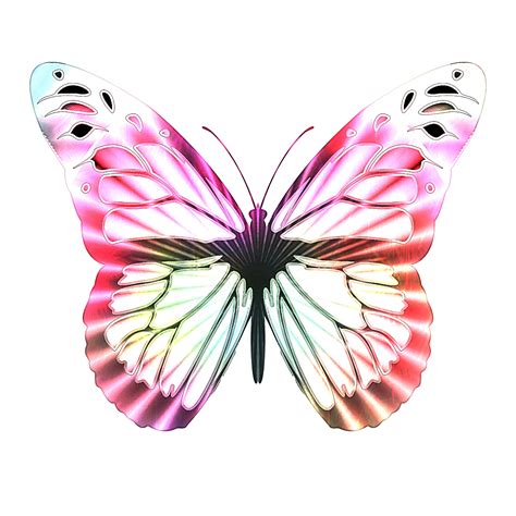 Op Art Multi Colored Butterfly Free Stock Photo Public Domain Pictures
