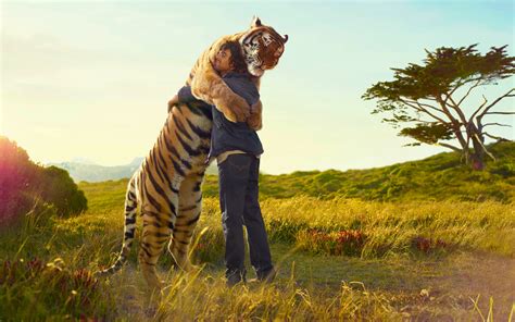 Man Hugs A Tiger Hd