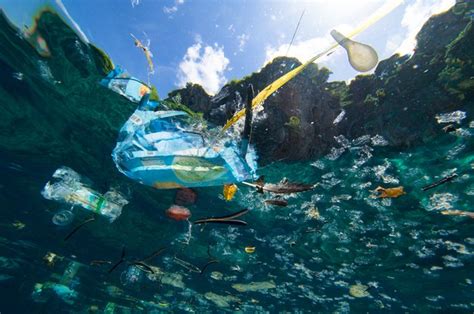 Pencemaran Sampah Plastik Di Laut Apa Yang Kita Perbuat Balebengong Id