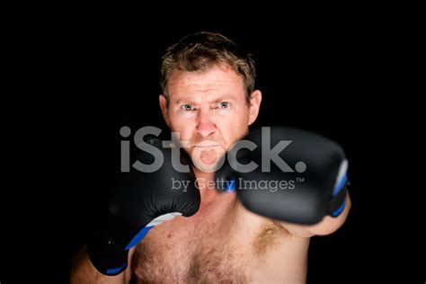 Boxer Punching Stock Photo Royalty Free Freeimages