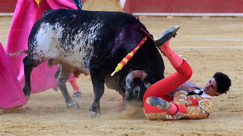 internet celebra la muerte del torero español víctor barrio por cornada de un toro video e