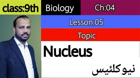 Check spelling or type a new query. What is a Nucleus Structure and Function of Nucleus 2020 ...