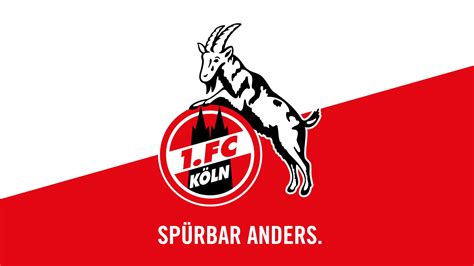 Search free fc koln wallpapers on zedge and personalize your phone to suit you. 1. FC Köln Wallpapers - Wallpaper Cave