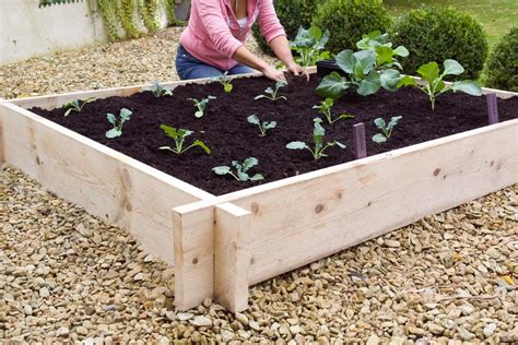 Building A Raised Vegetable Bed Bbc Gardeners World Magazine