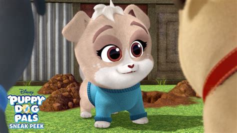 Who Is The Voice Of Rolly In Puppy Dog Pals