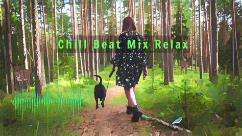Music Chill Life Lofi Girl Walking The Dog In The Forest Youtube