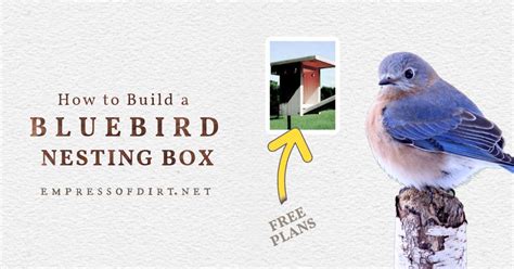 Free Bluebird House Plans Audubon Nesting Box Tutorial