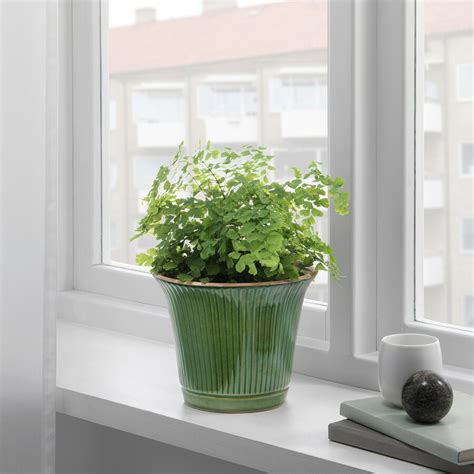 Ecco una ricca selezione di portavasi e portafiori di design. KAMOMILL Portavasi, da interno/esterno verde, 15 cm - IKEA ...