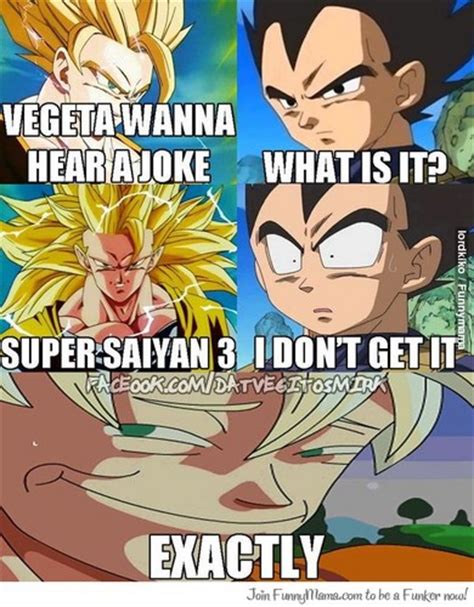 Check spelling or type a new query. Dragon Ball Z images Wanna hear a joke?? HD wallpaper and background photos (38149877)