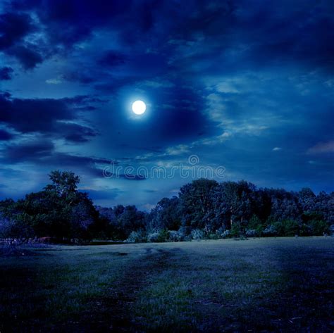 Moonlight Landscape Stock Photo Image Of Light Scene 16740698