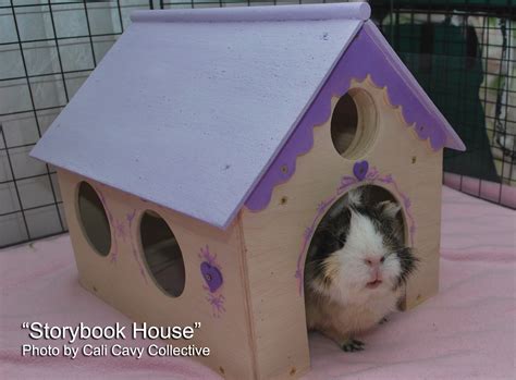 Cali Cavy Collective A Blog About All Things Guinea Pig Wooden