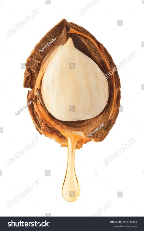 Apricot Oil Dripping Seed Isolated On Stock Photo 2122796483 Shutterstock