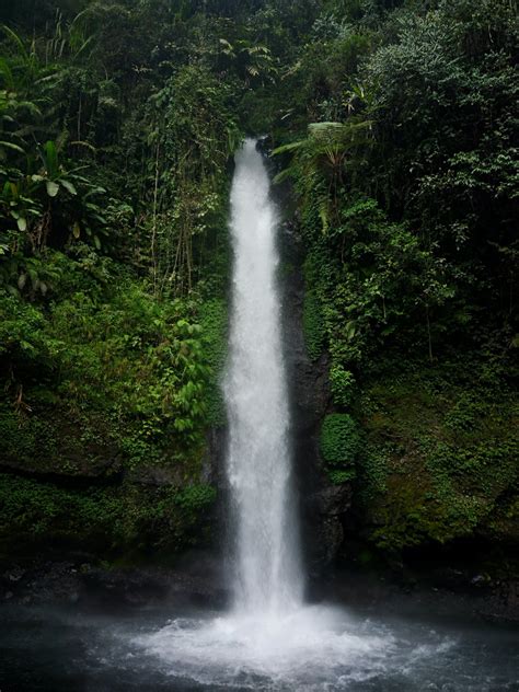 Rainforest Waterfall Pictures Download Free Images On Unsplash