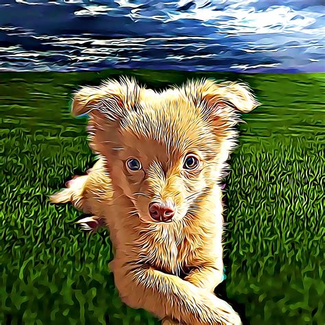 The Cutest Puppy Digital Painting Cute Puppies Puppies