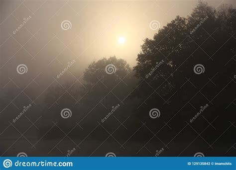 Foggy Morning Stock Photo Image Of Color Weather 129135842