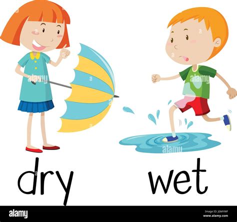 Opposite Wordcard For Dry And Wet Illustration Stock Vector Image And Art