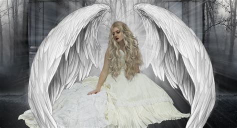 Angel Full Hd Wallpaper And Background Image 3508x1895 Id398999