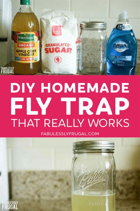 What Is The Best Homemade Fly Trap